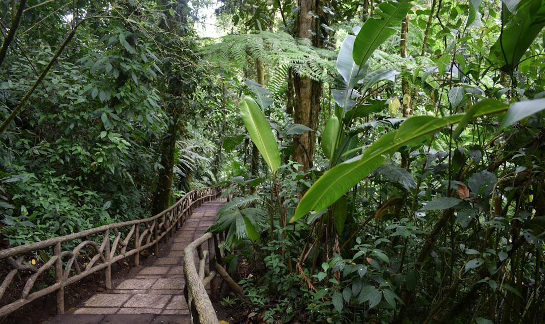 Parc National Soberanía