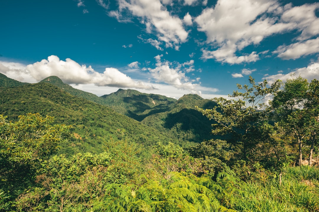 Parc National Soberanía