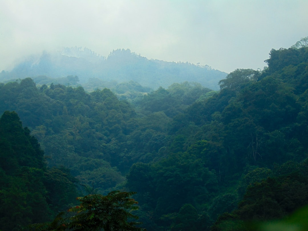 Parc National Soberanía