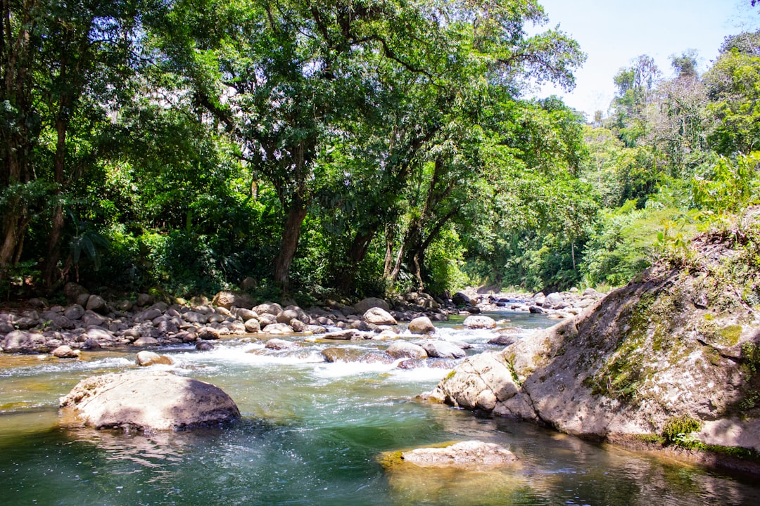 Puerto Viejo