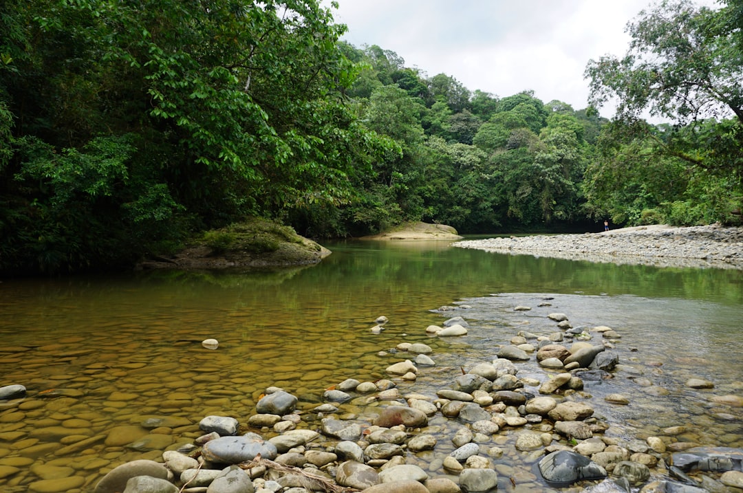 Río San Juan