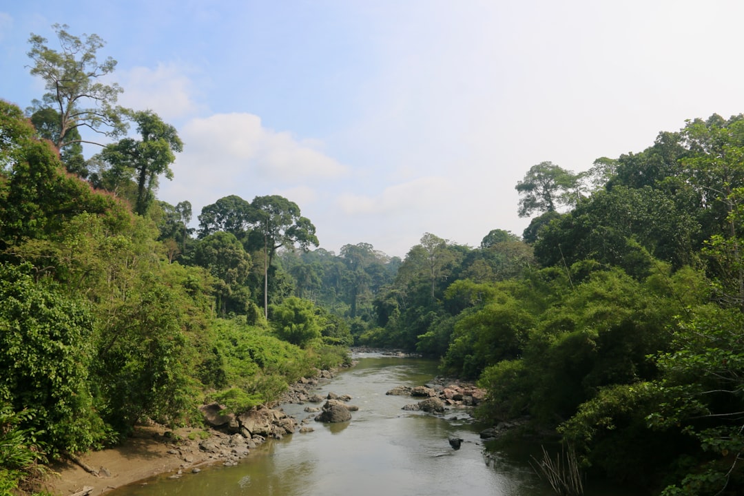 Río San Juan