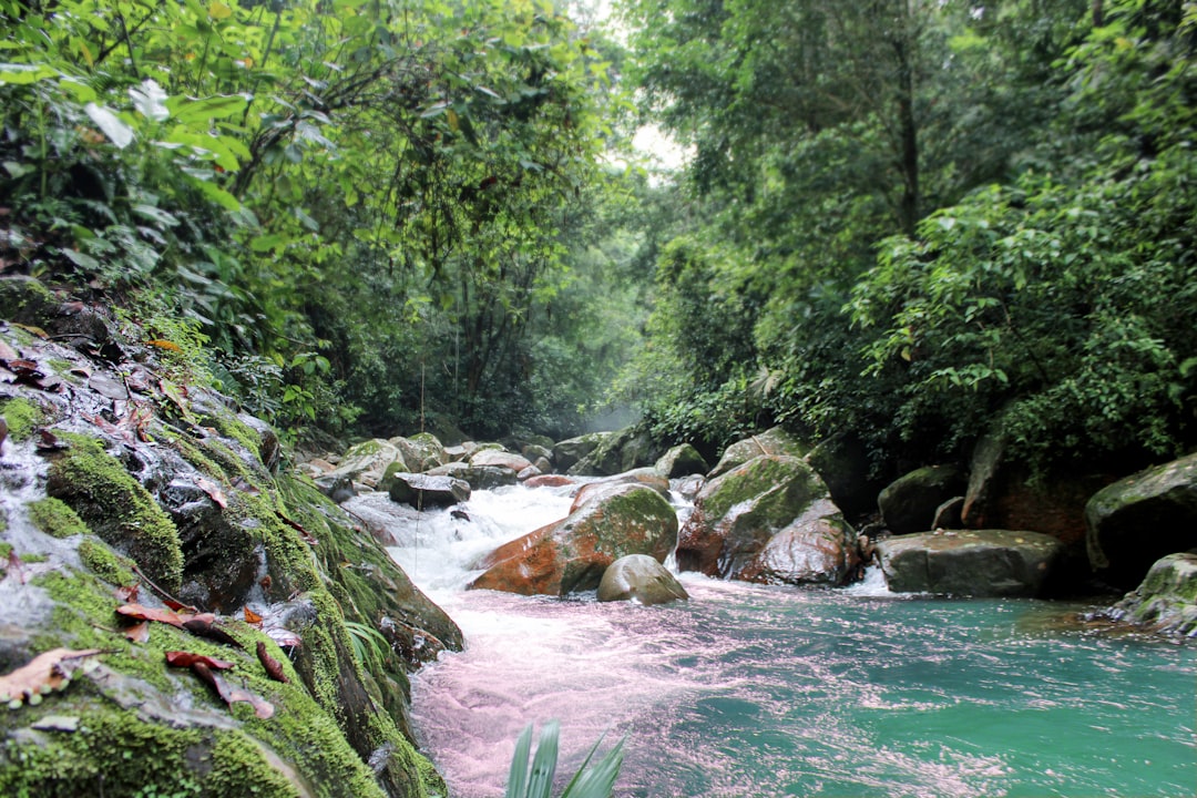 Río San Juan