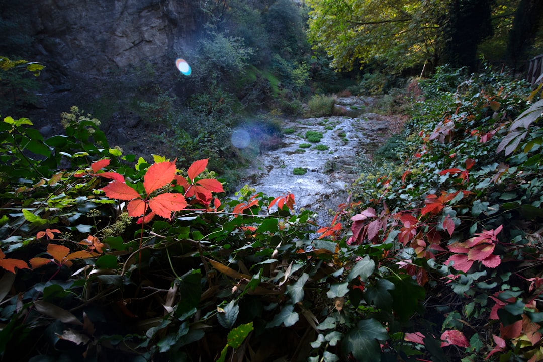 Turrialba