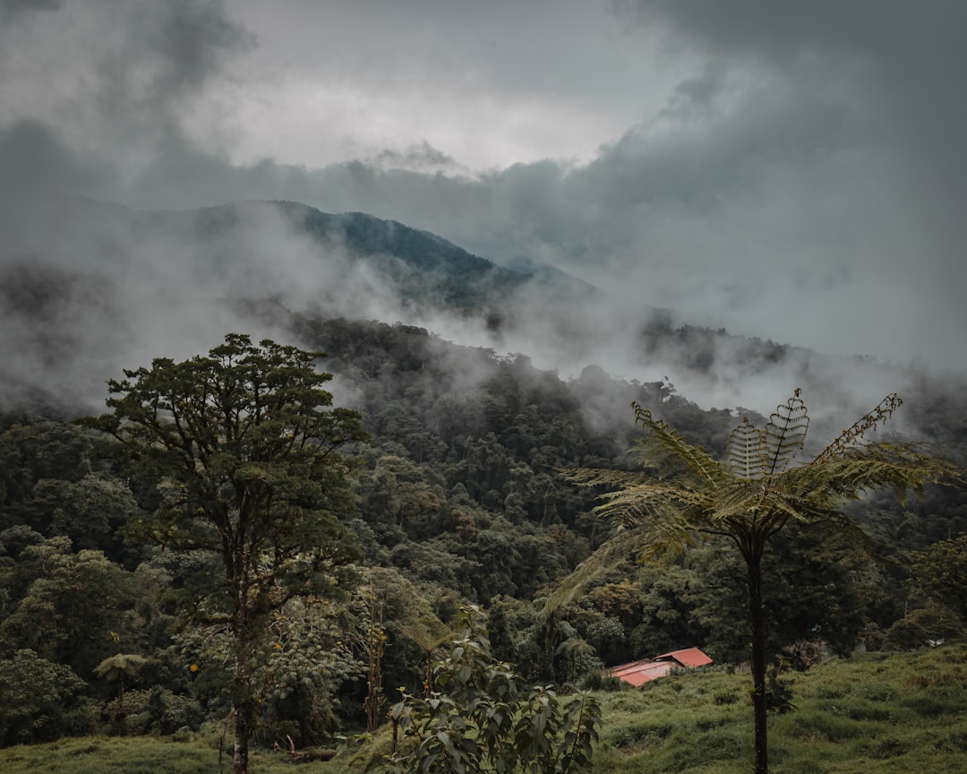Volcan Arenal