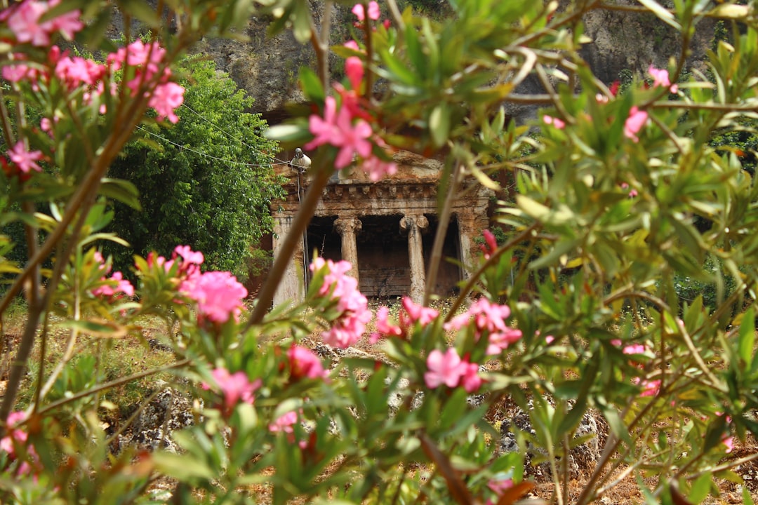 Kumarakom