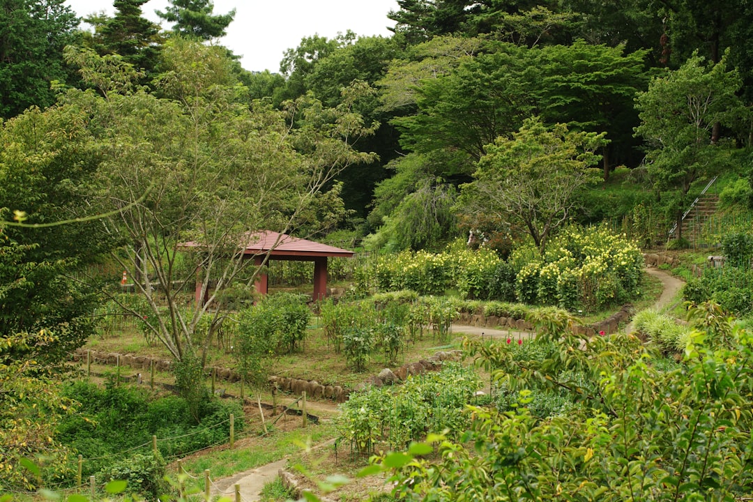 Kumarakom