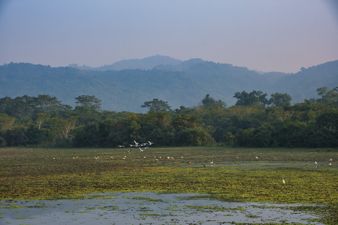 Tezpur