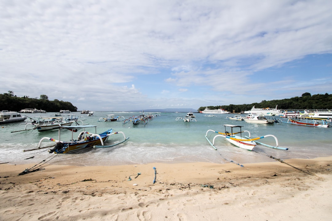 Bira