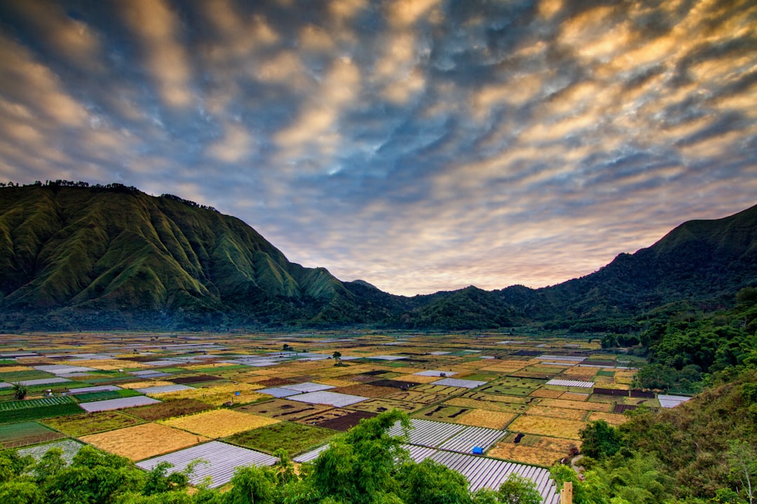 Tanah Toraja