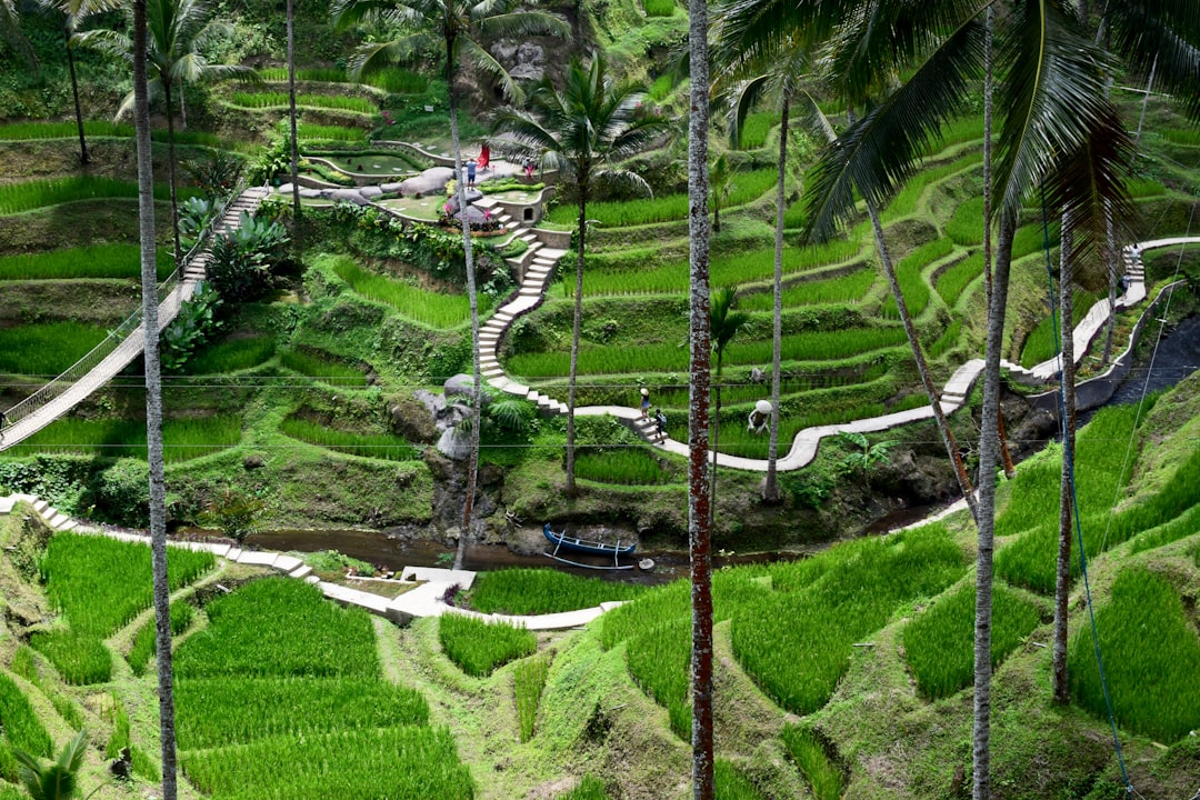 Tanah Toraja