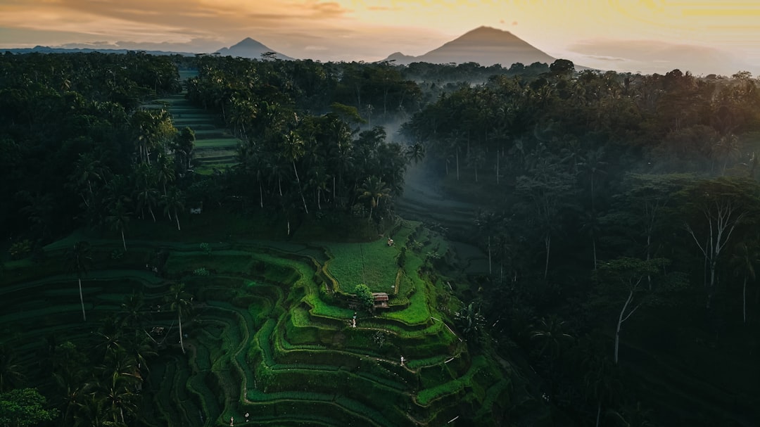 Ubud