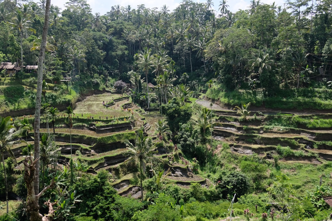 Ubud