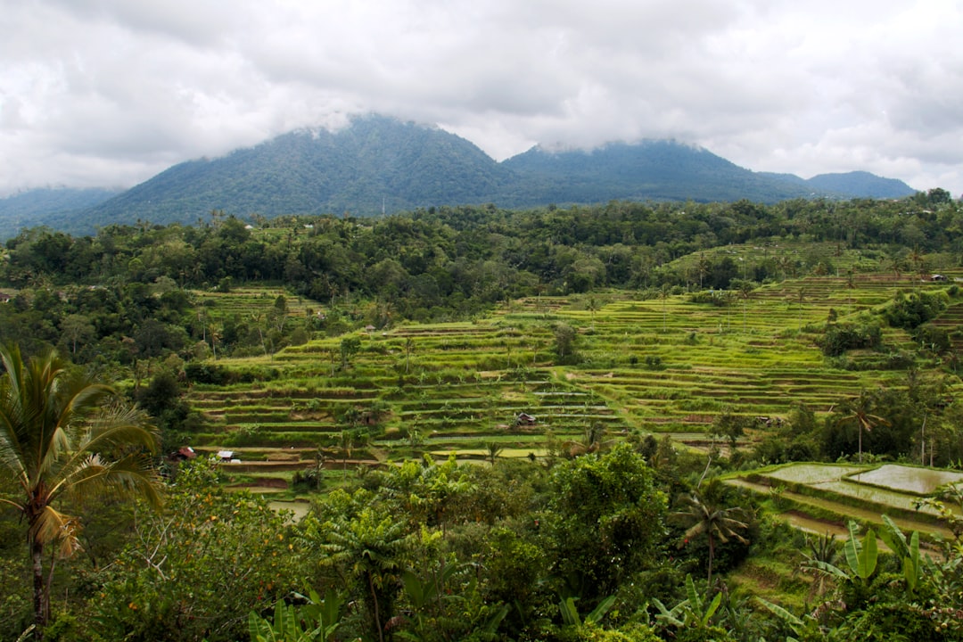Ubud