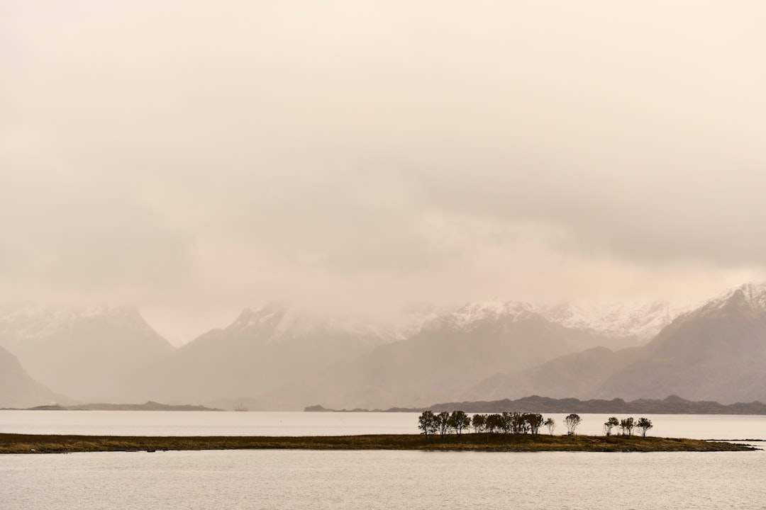 Höfn