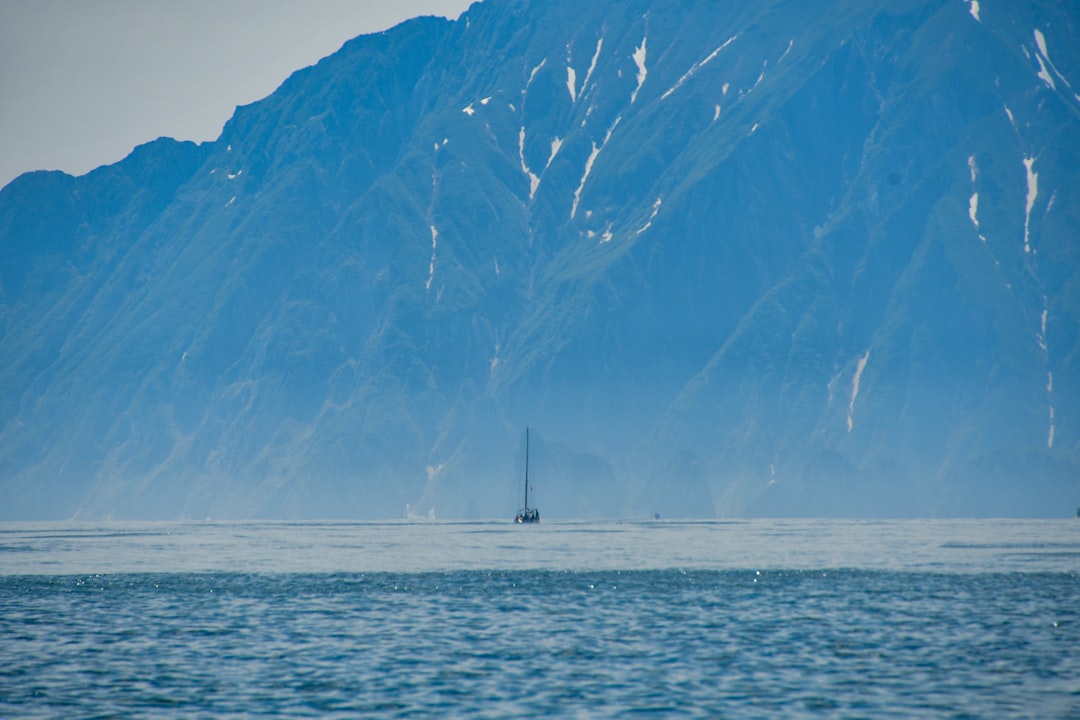 Höfn