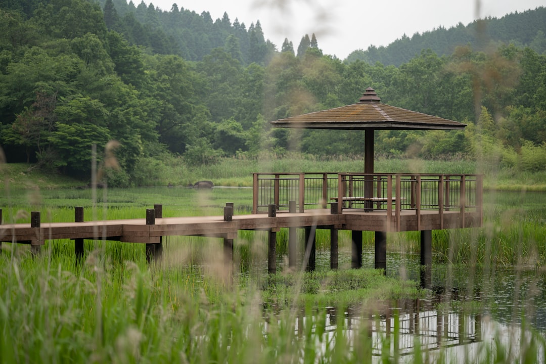 Hakone