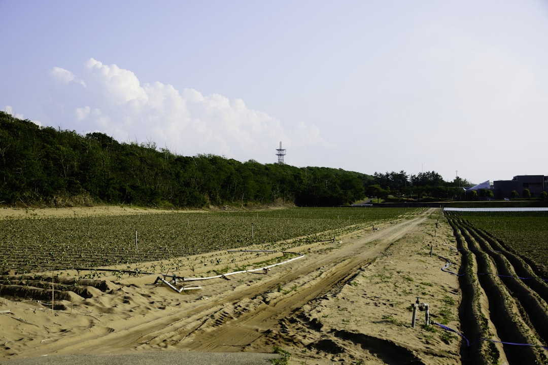 Kanazawa
