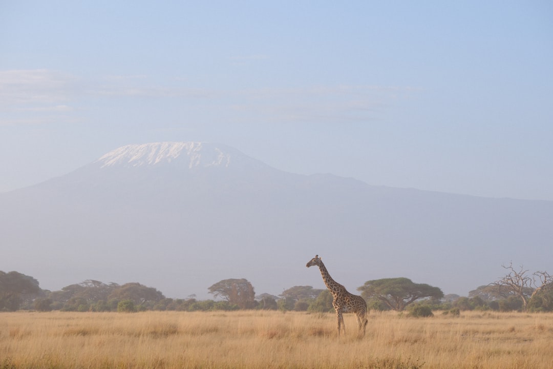 Amboseli