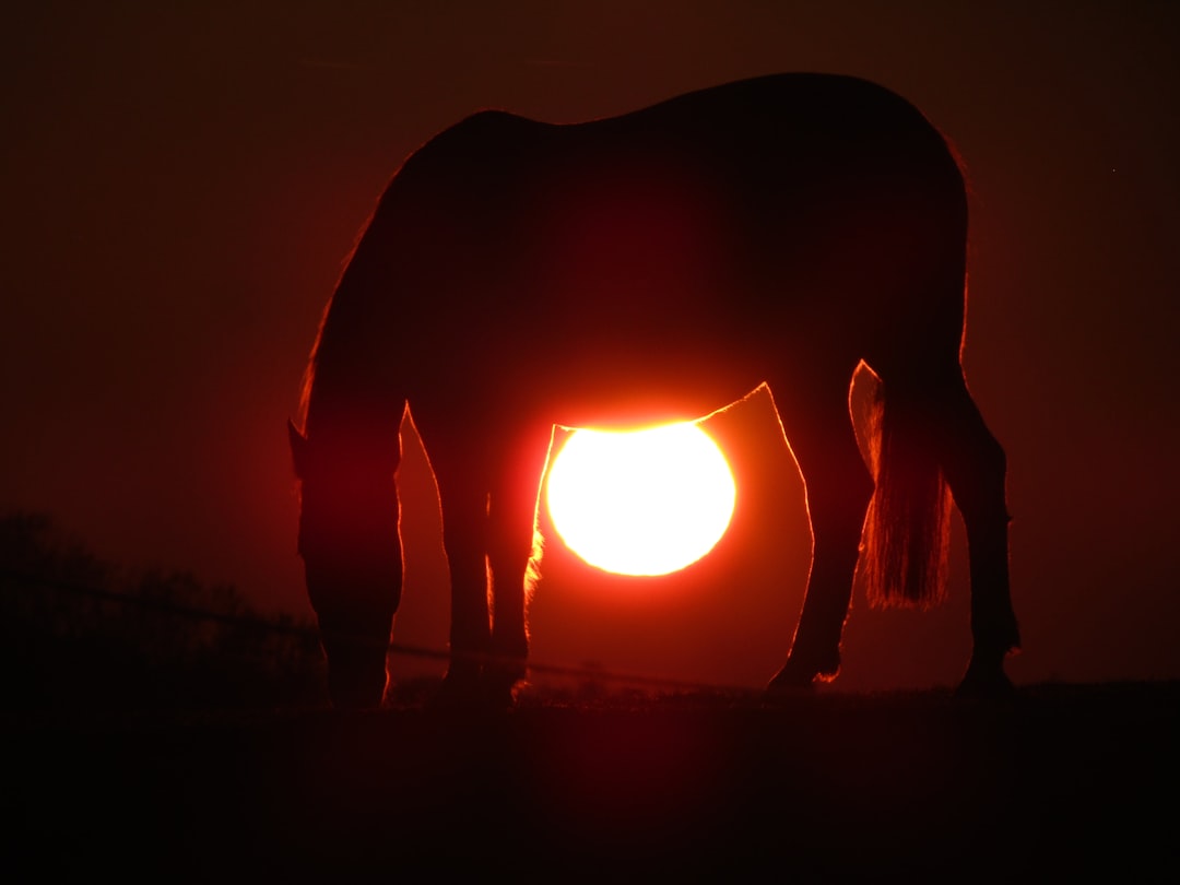 Amboseli