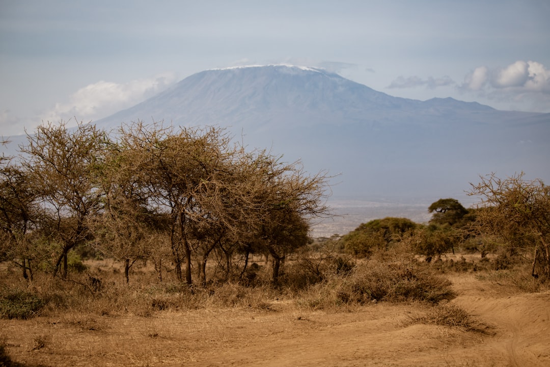 Amboseli
