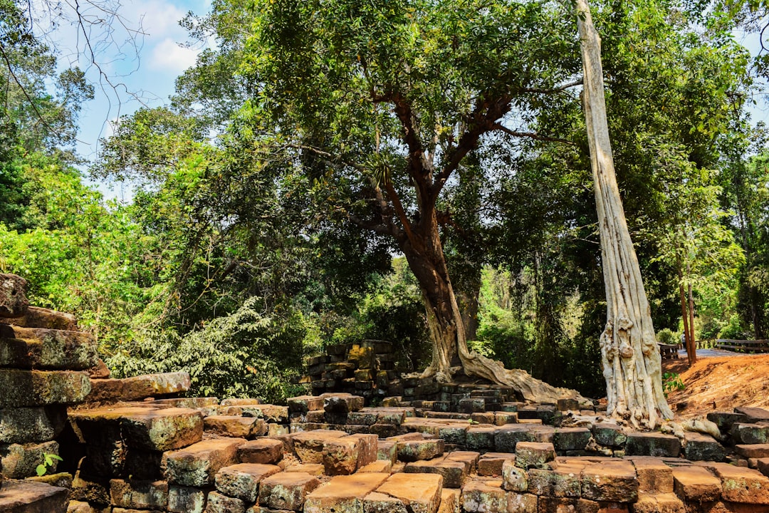 Bwindi