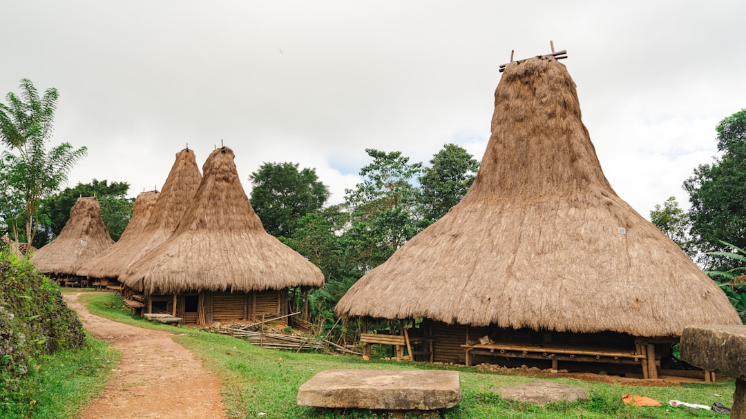 Bwindi