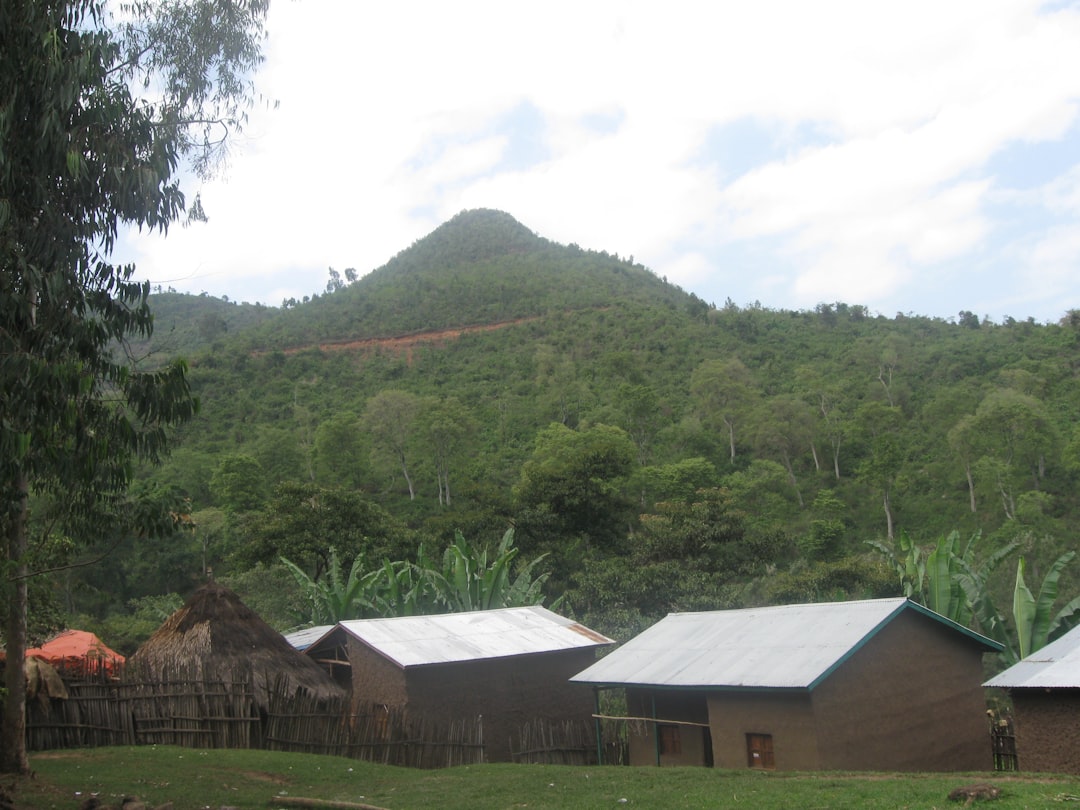 Bwindi
