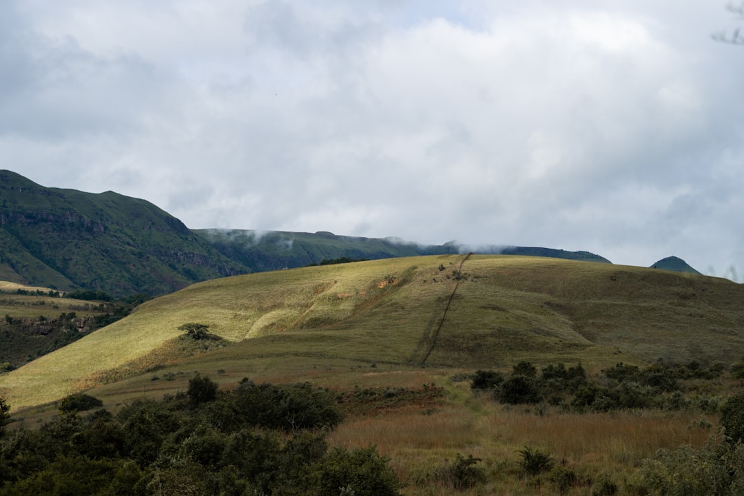 Ngorongoro