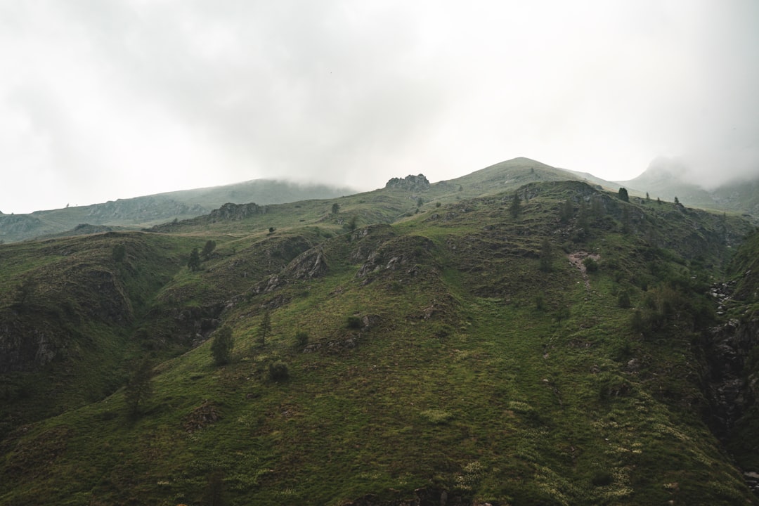 Ngorongoro