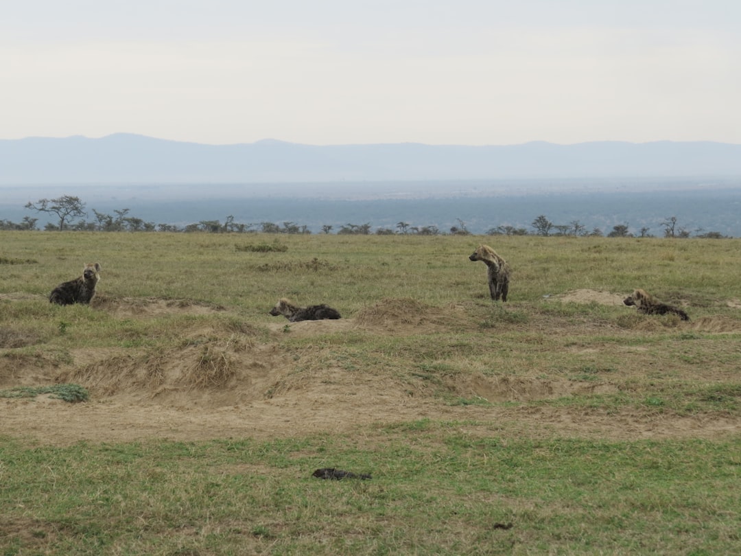 Ol Pejeta