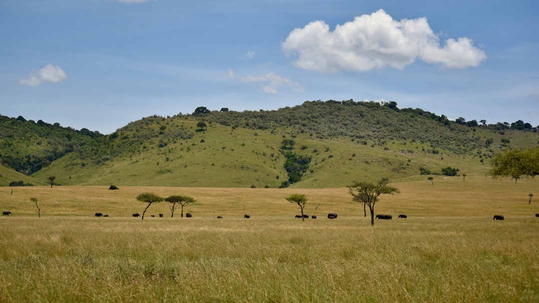 Serengeti