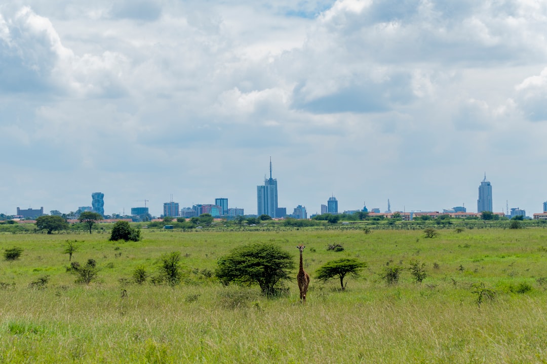 Tsavo Ouest