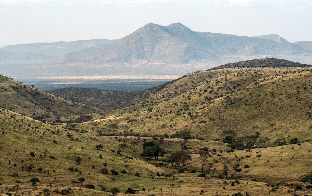 Tsavo Ouest