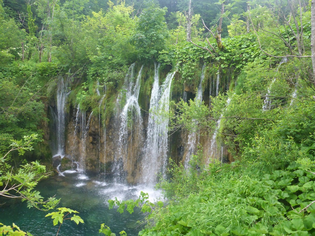Don Khong