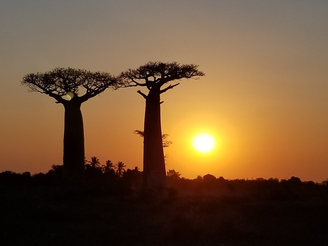 Morondava