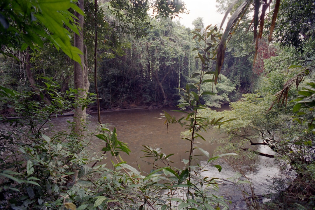 Ranomafana