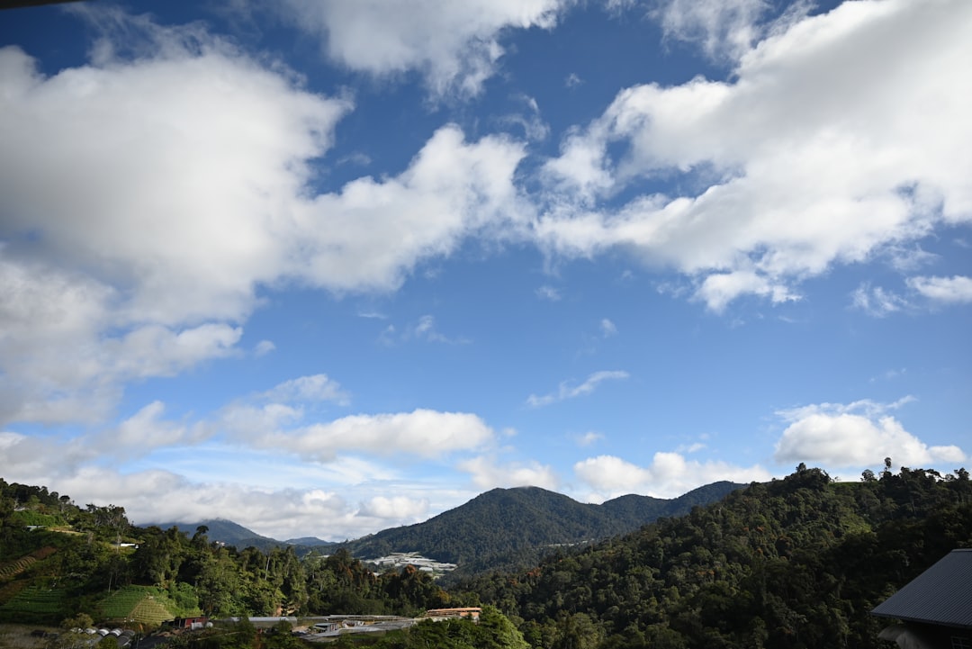 Cameron Highlands
