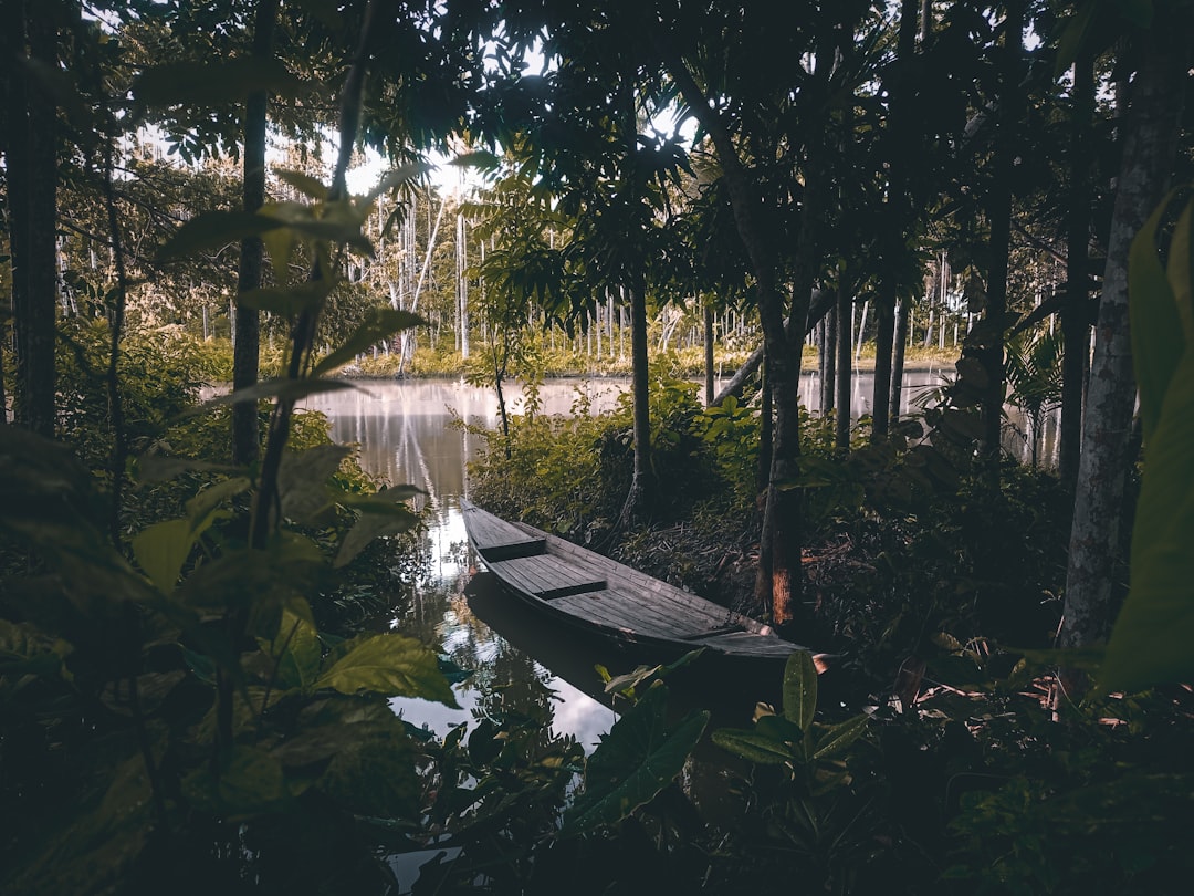 Kuala Tahan