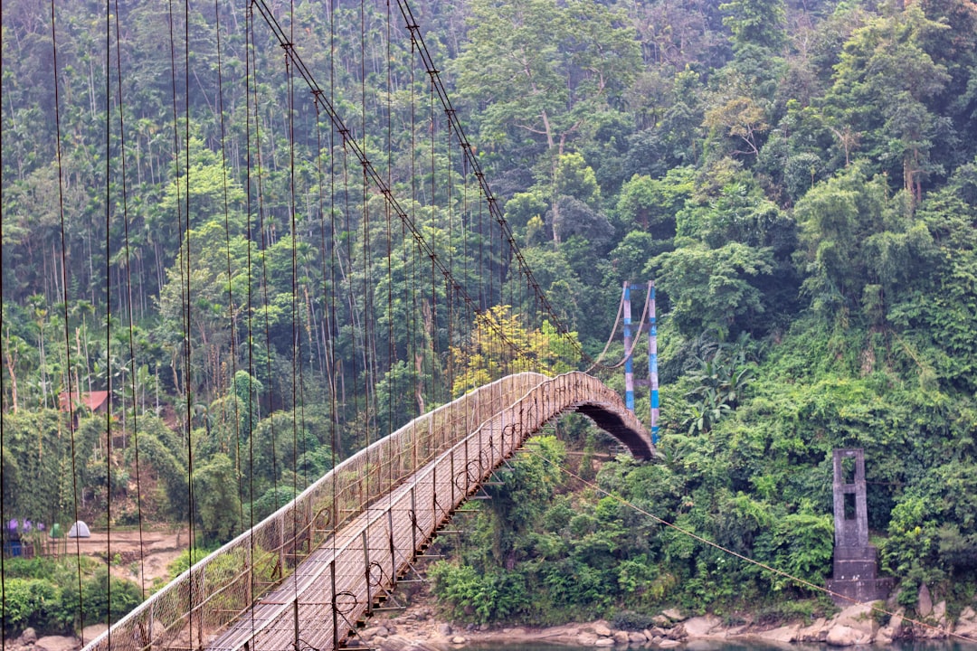 Kuala Tahan