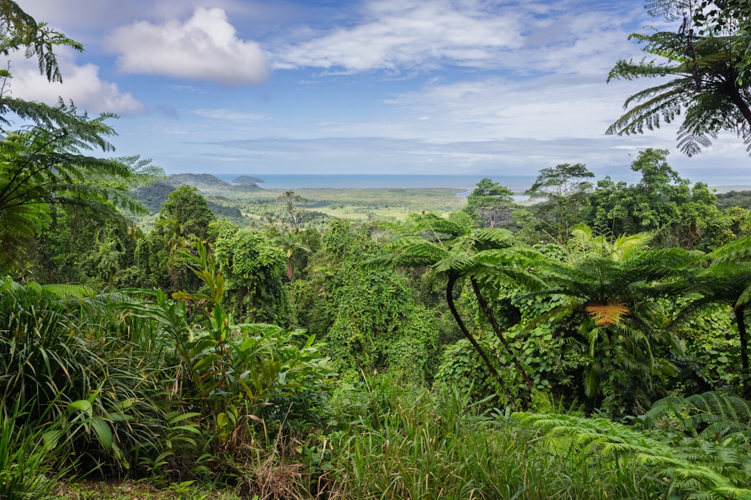 Mulu