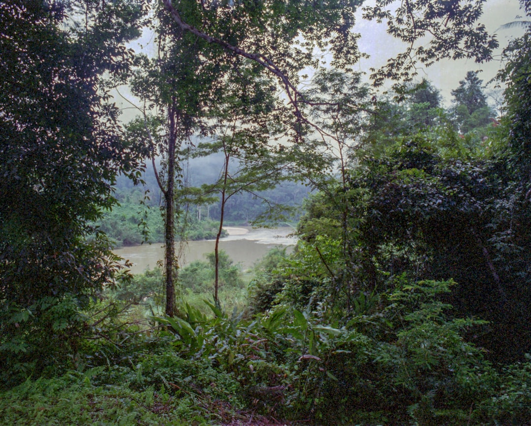 Mulu
