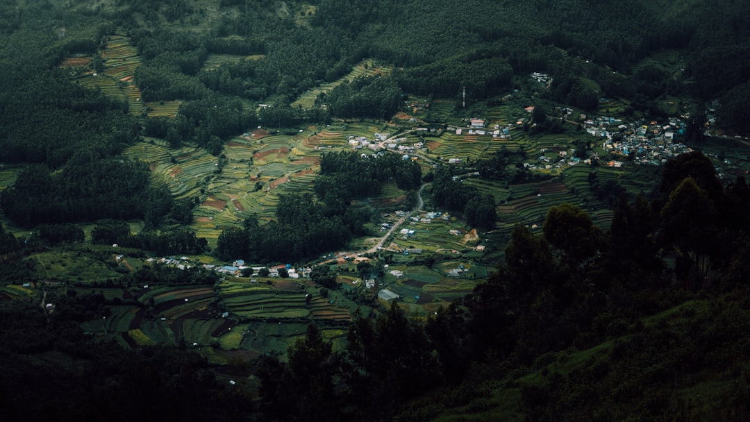 Dhiggiri