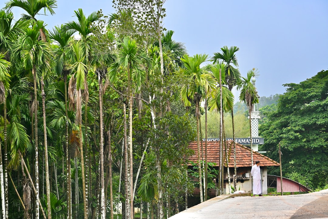 Hacienda Uayamón