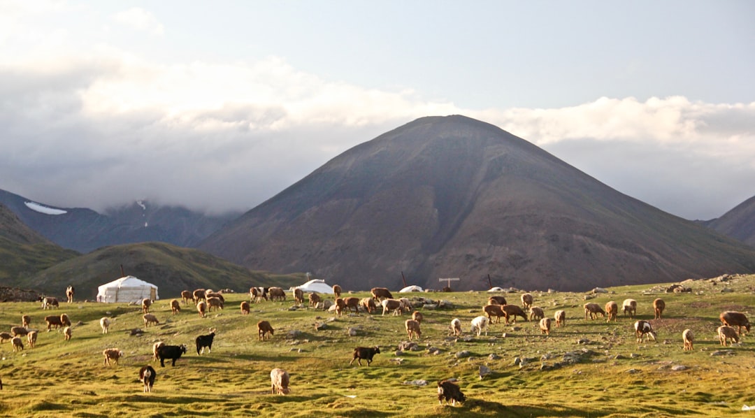 Bayanzag