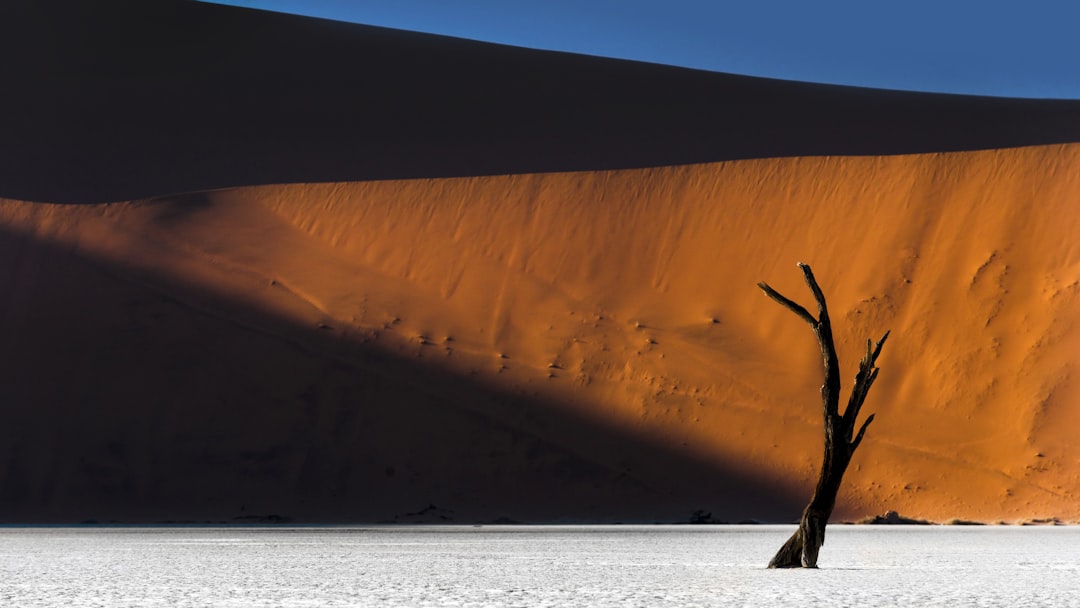 Namib