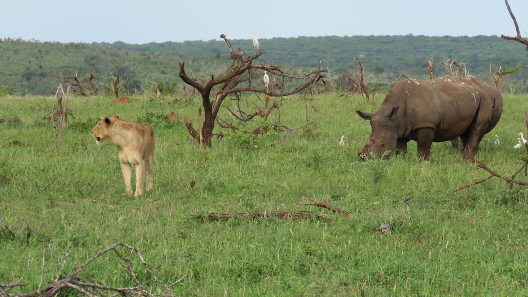 Parc National d’Etosha