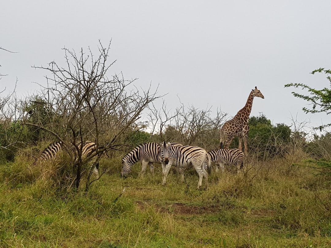 Parc National d’Etosha