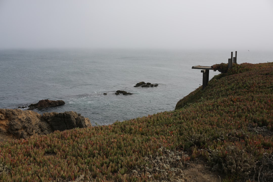 Skeleton Coast