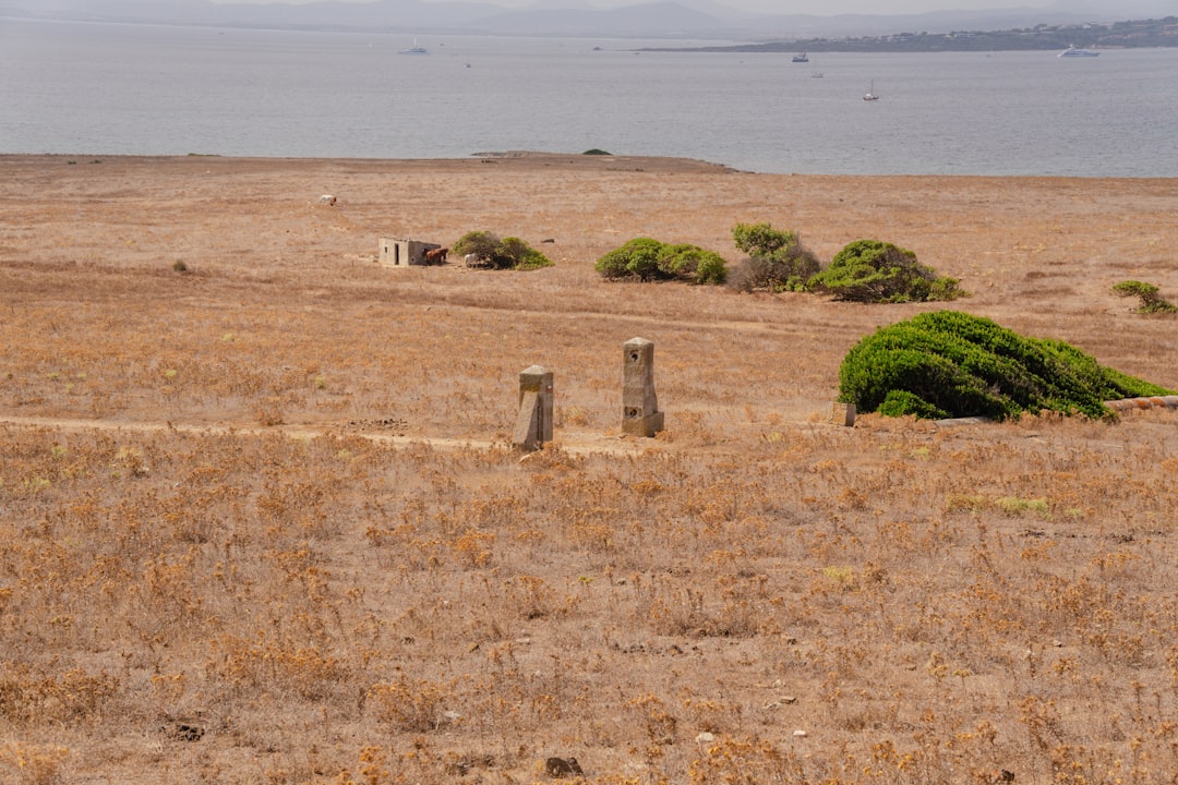 Skeleton Coast